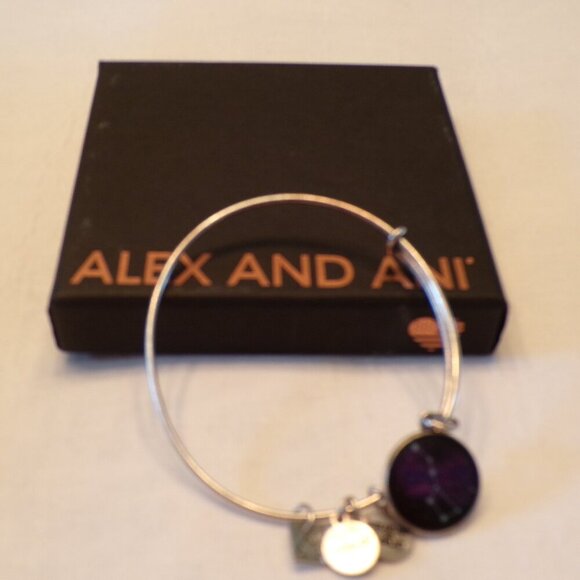 2016 Alex & Ani Silver Tone BIG Dipper Constellation Bangle Charm Bracelet - Picture 1 of 7